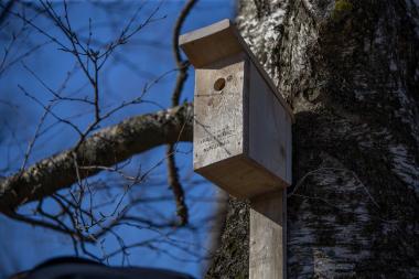 Parkidesse jõudsid lavastuse "Päris mäng" pesakastid lindudele